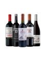 Pack Recomendados x5 vinos Pack Recomendados x5 vinos