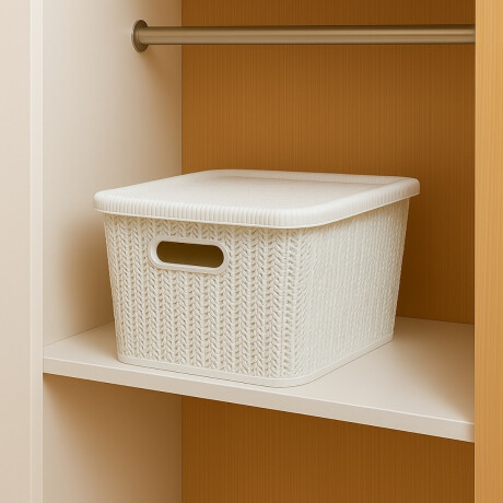 Caja organizadora símil ratán 20lt BLANCO