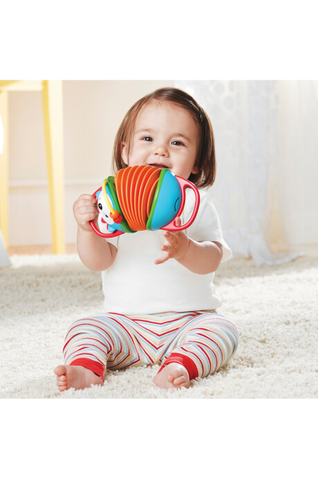 Acordeón infantil, diseño puercoespín Acordeón infantil, diseño puercoespín