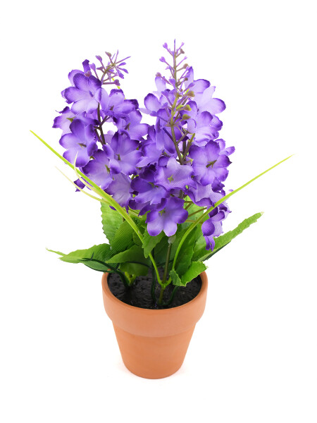 PLANTA JACINTA MACETA LILA