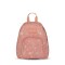 MOCHILA JANSPORT HALF PINT DRIED FOLI