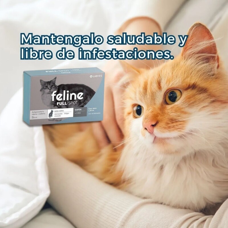 FELINE FULL SPOT MAS DE 5 KG