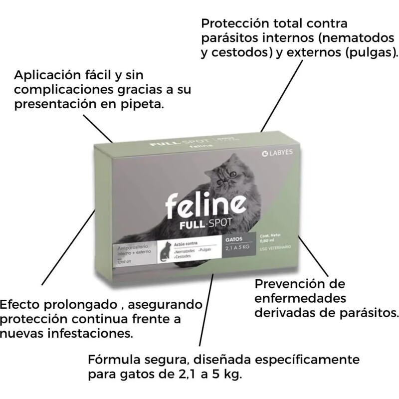 FELINE FULL SPOT DE 2 A 5 KG