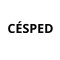 Semillas Césped x 500g
