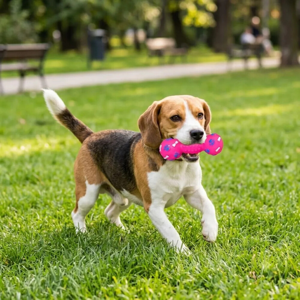 Juguete Para Perro Con Chifle Y Forma De Mancuerna FUCSIA