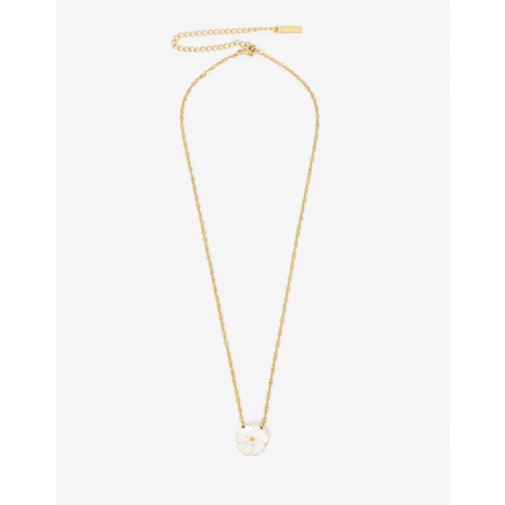Cadena Acero Con Dije Nácar Dorado