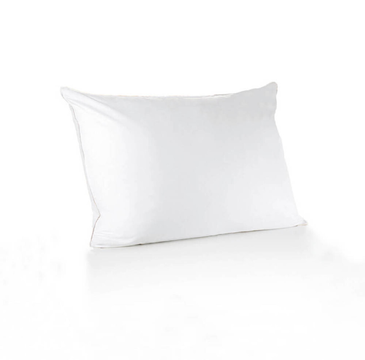 Almohada efecto pluma - II 50 x 70 cm 