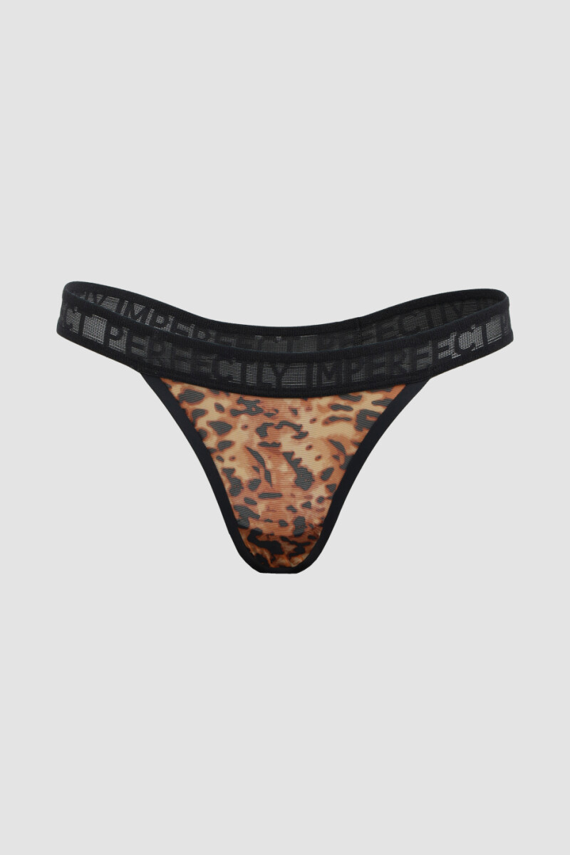 Colaless unakita - Animal print 