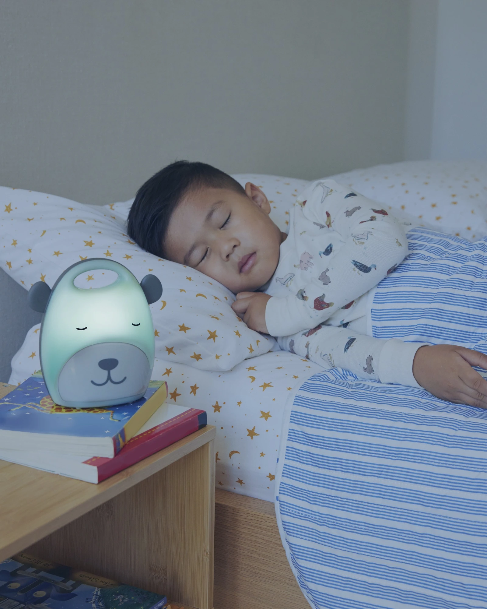 Luz nocturna portátil, diseño oso Luz nocturna portátil, diseño oso
