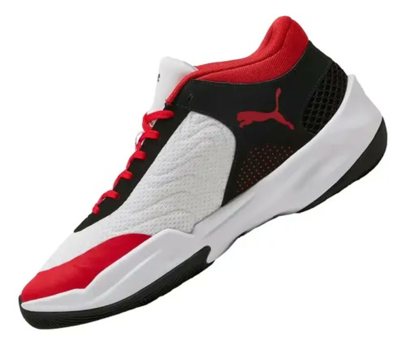 Calzado Puma 312180/03 