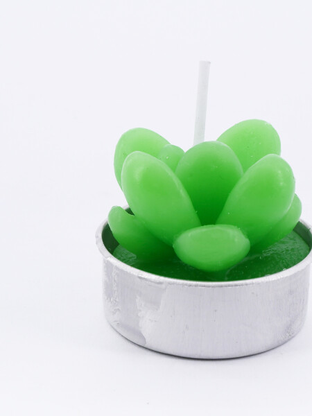 SUCULENTA VELA CACTUS VERDE