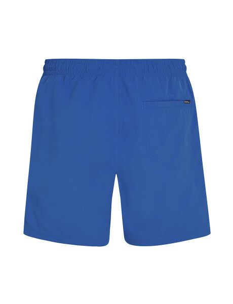 Short O'Neill Small Logo Azul