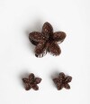 Set De Broches Flor Hawaiana Marron Chocolate