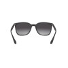 Ray Ban Rb4316l 622/8g