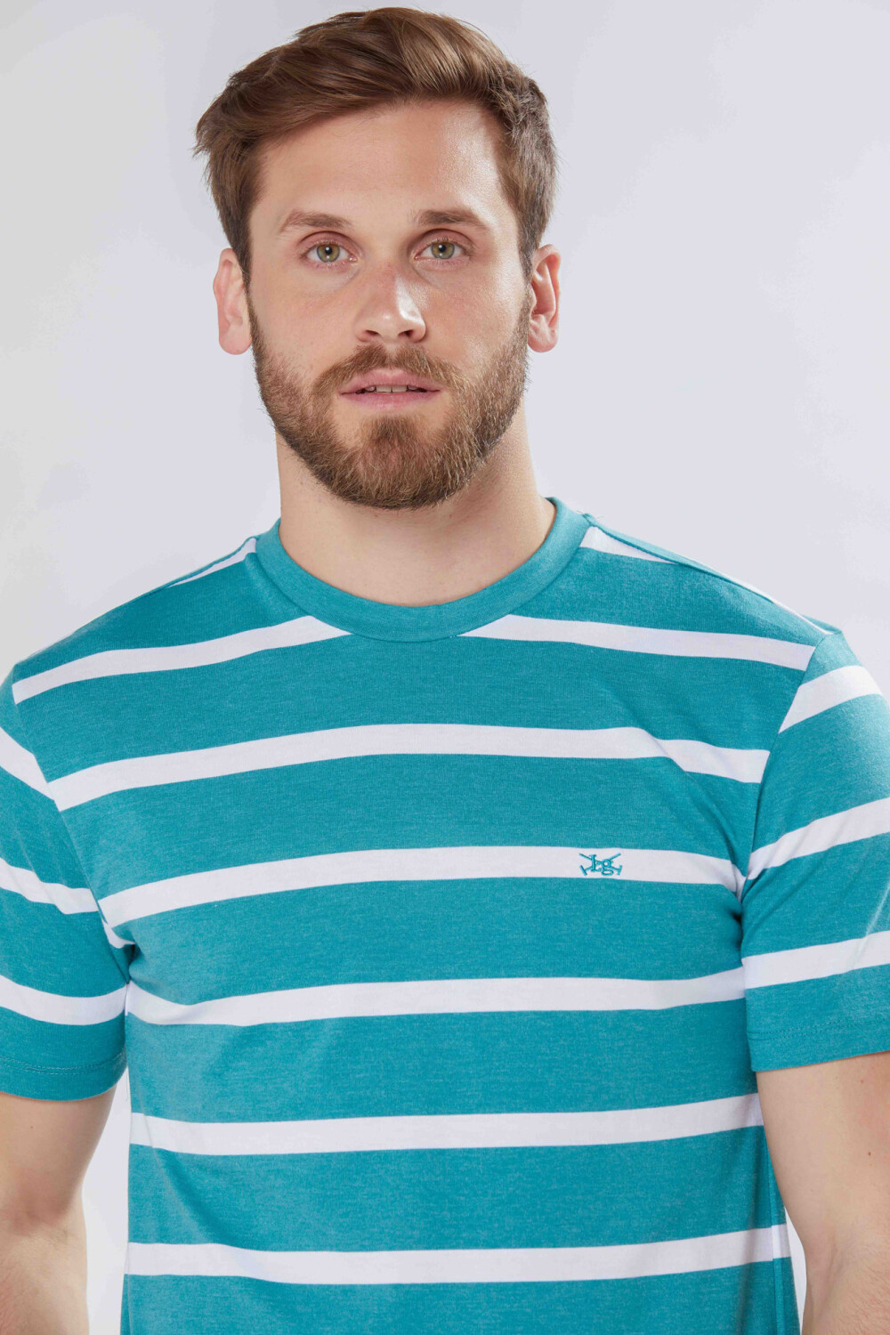 REMERA RAYADA Verde