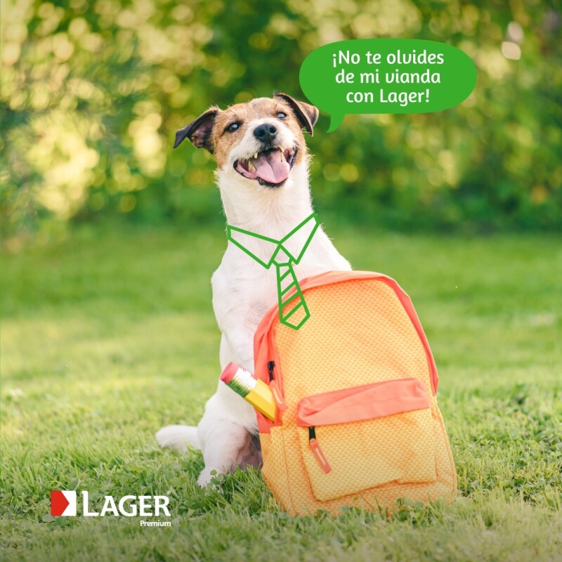 LAGER PERROS ADULTOS 10 KG + PIPETA PROTECH DE 26 A 40KG DE REGALO