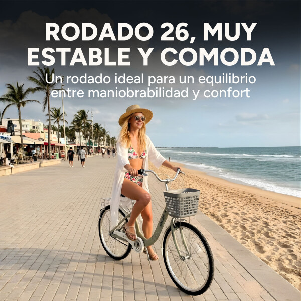 Bicicleta BDF Paseo Urbana Rodado 26 " Canasto Freno V-Brake Gris 1