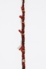 CADENA GAFAS Marron