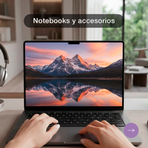 Notebooks y accesorios