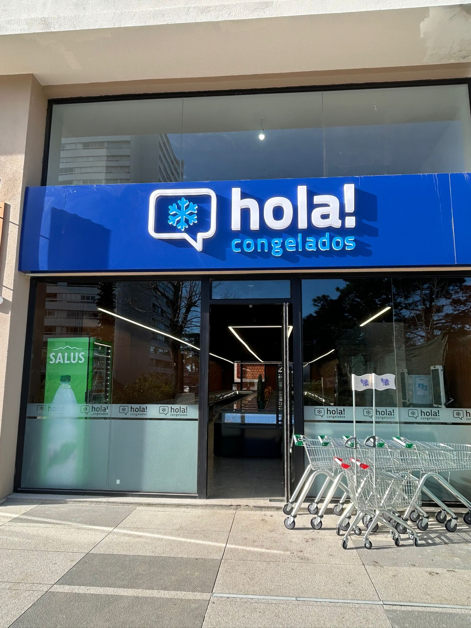 Hola Congelados PUNTA DEL ESTE