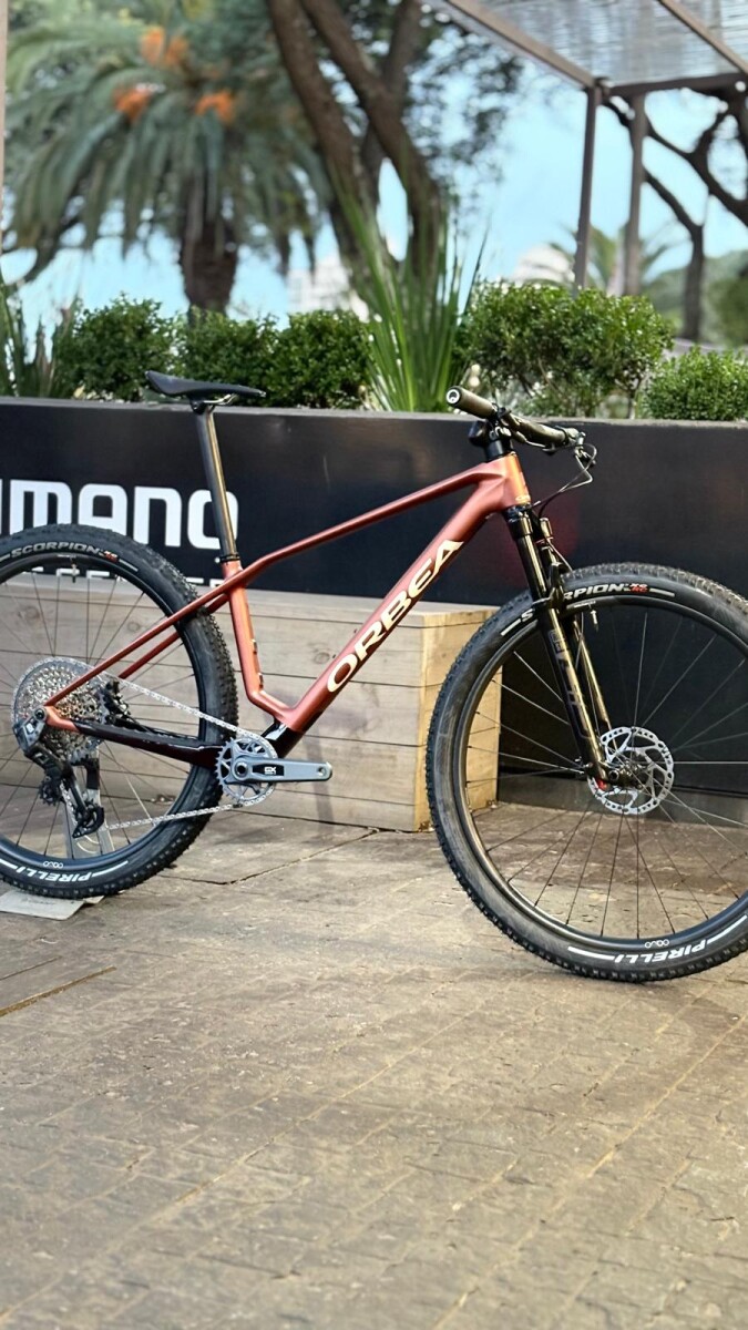 ORBEA ALMA PROSRAM GX AXS RUEDAS CARBONO 