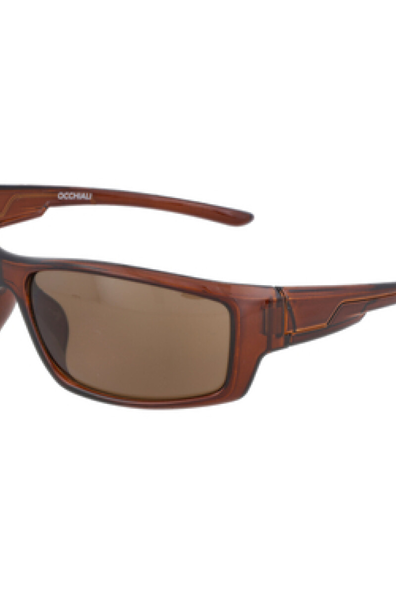 Lentes de sol Marrón