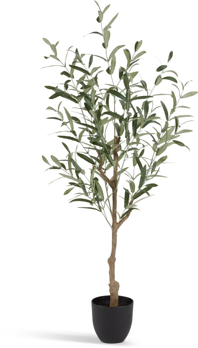Planta artificial HAVHEST A125cm olivo - Verde oliva 