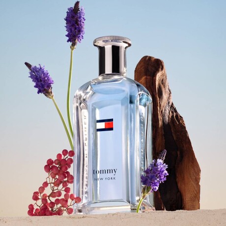 Perfume Tommy Hilfiger New York EDT 100ml Perfume Tommy Hilfiger New York EDT 100ml
