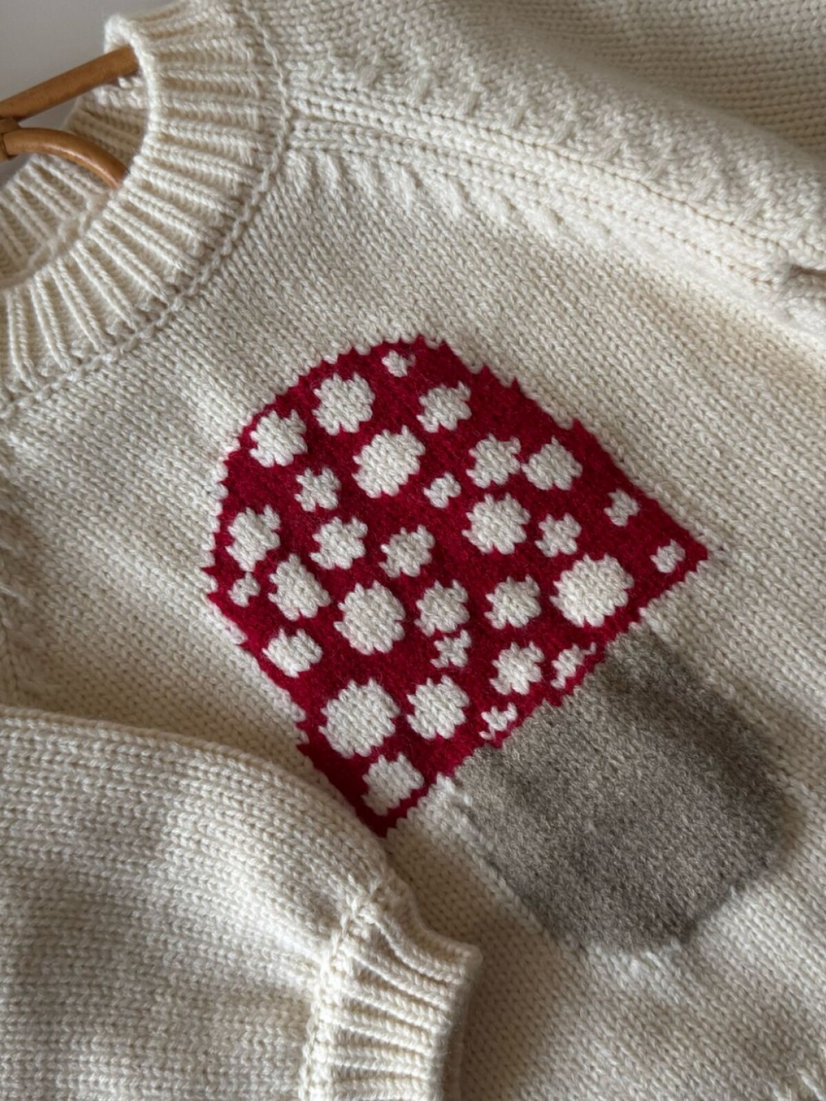 Sweater Honguito Sweater Honguito