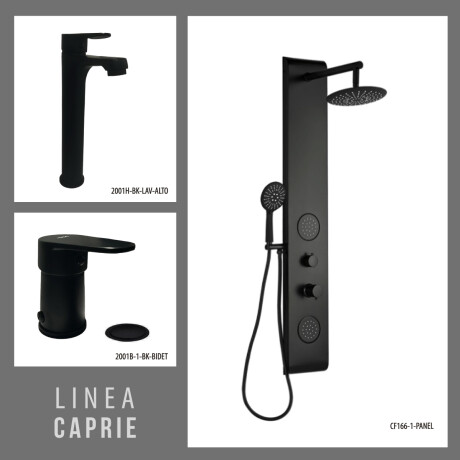 JUEGO DE GRIFERIA LAVATORIO ALTO PANEL DE DUCHA Y BIDET CON TRANSFERENCIA 000