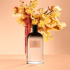 Victorio & Lucchino Aguas Femeninas Estuche Eau de Toillette N°3 150ml + Eau de Parfum N°15 30ml - Femenino Victorio & Lucchino Aguas Femeninas Estuche Eau de Toillette N°3 150ml + Eau de Parfum N°15 30ml - Femenino