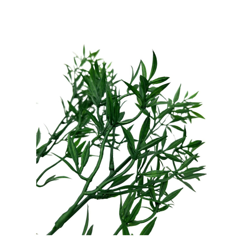 Rama de Hojas Rama de Hojas