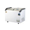 Freezer Exhibidor Horizontal 320 Litros Comercial Freezer Exhibidor Horizontal 320 Litros Comercial