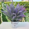 Ramo de Lavanda N/a