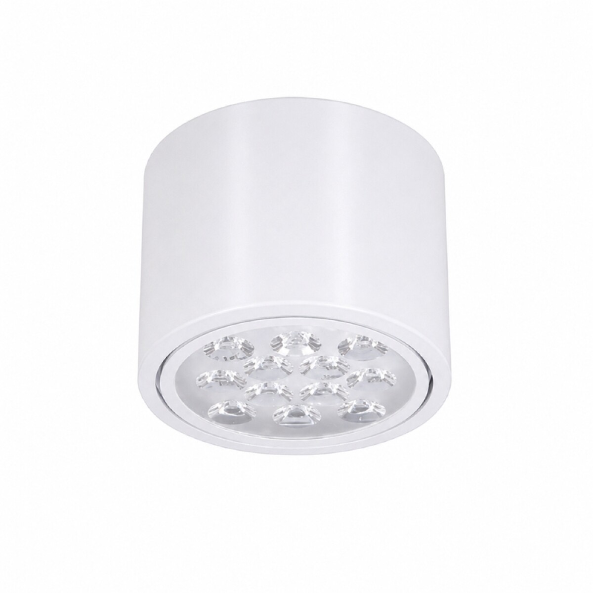Luminaria De Exterior Roma 12W Blanco 