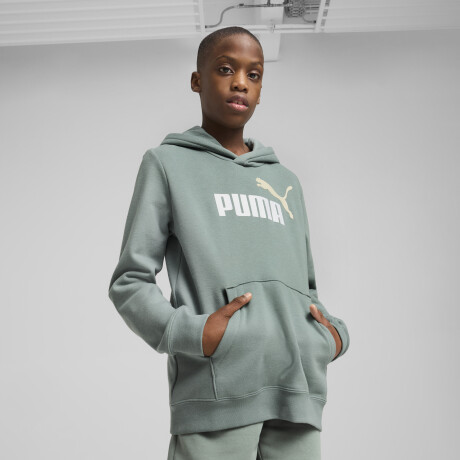 ESS 2 COLOR Nş1 logo Hoodie FL B 68582230 Verde