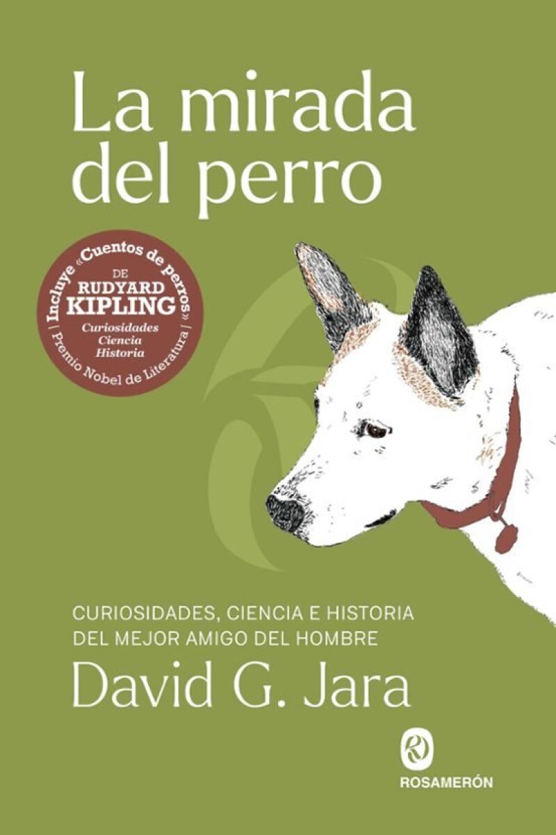 LA MIRADA DEL PERRO 