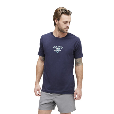 Remera Stance Pickled Azul