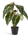 Planta artificial MARIUS Ø38xA42cm Planta artificial MARIUS Ø38xA42cm