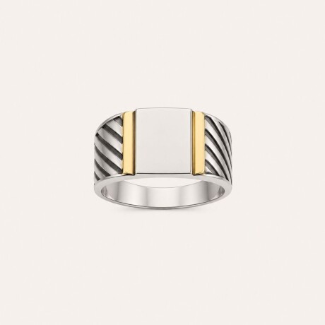 Anillo Sello - Plata y Oro Anillo Sello - Plata y Oro