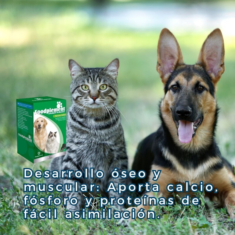 SUPLEMENTO NUTRICIONAL FOODPLEMENT CAJA DE 250 G SUPLEMENTO NUTRICIONAL FOODPLEMENT CAJA DE 250 G
