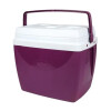 CONSERVADORA 34LTS VIOLETA 47 X 32 X 41 CONSERVADORA 34LTS VIOLETA 47 X 32 X 41