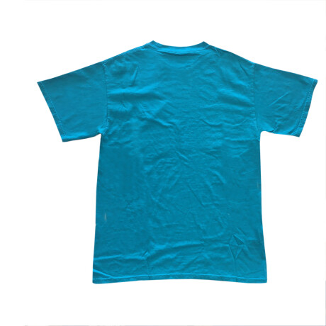 REMERA ETNIES TEAM Blue