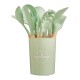 Set Utensilios Cocina Inicial Silicona Madera Plus Gourmet Verde Claro