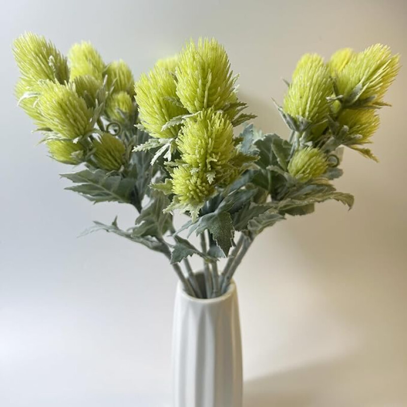 Ptilotus Verde