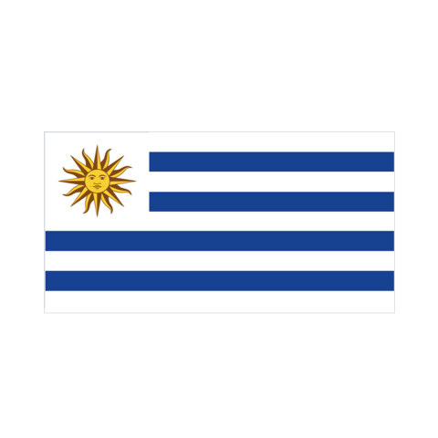 Toalla Playera Uruguay 100% Algodón 70 x 130 cm U