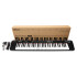 Organo Musical Teclado Piano Instrumento 61 Teclas Micrófono 200 Tonos Y Ritmos Con Microfono Imback Organo Musical Teclado Piano Instrumento 61 Teclas Micrófono 200 Tonos Y Ritmos Con Microfono Imback