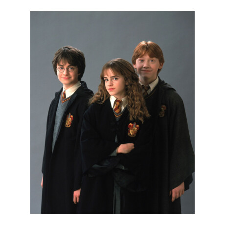 Pack x4 Harry Potter + Hermione + Ron + Dumbledore • Harry Potter Pack x4 Harry Potter + Hermione + Ron + Dumbledore • Harry Potter