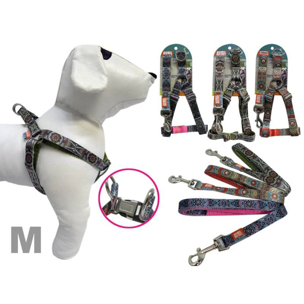 ARNÉS + CORREA DISEÑOS VARIOS M ARNÉS + CORREA DISEÑOS VARIOS M