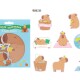 Stickers capibara 16pcs Stickers capibara 16pcs